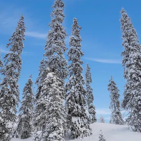 Jaloranta B By Interhome Дом отдыха