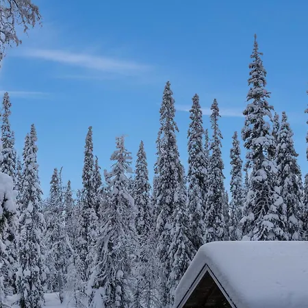 Prázdninový dům Jaloranta B By Interhome Ruka
