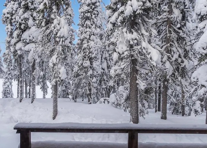 Jaloranta B By Interhome Semesterbostad Ruka