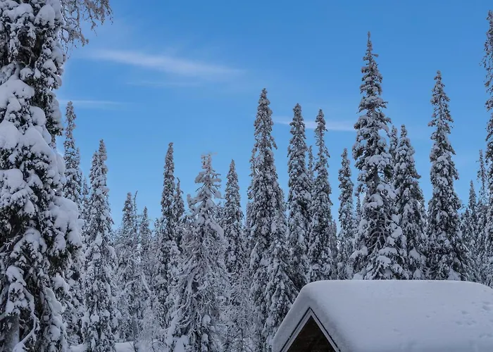 Semesterbostad Jaloranta B By Interhome Ruka