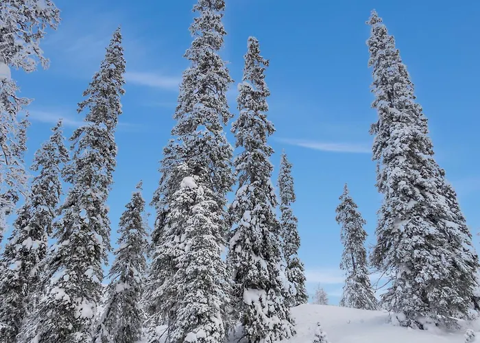 Semesterbostad Jaloranta B By Interhome Ruka